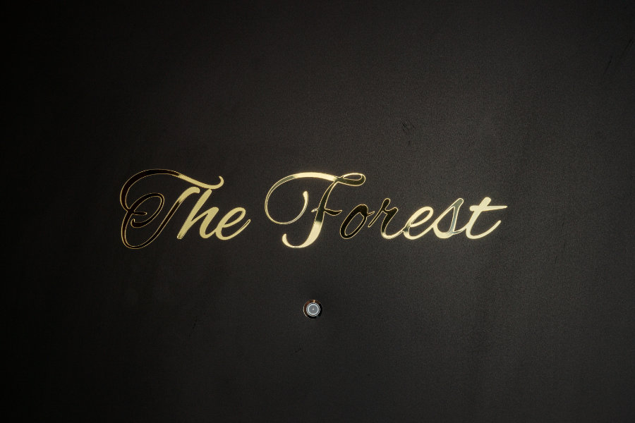 3F The Forest